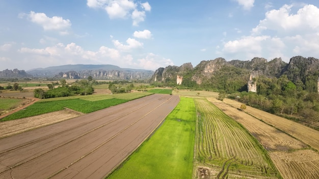 La route au milieu du champ contre le ciel