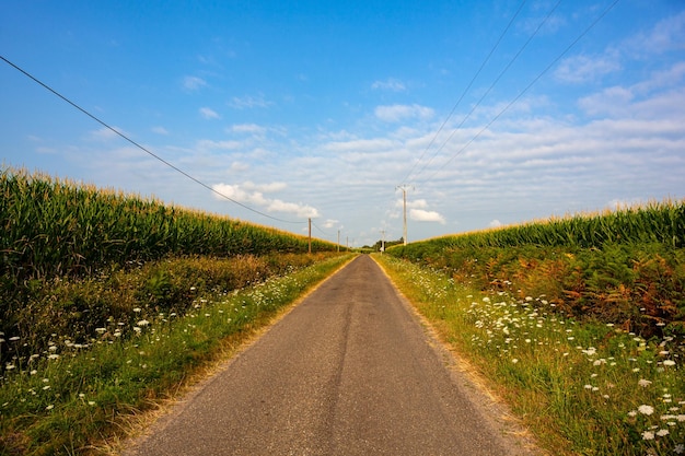 Route au milieu du champ de maïs et ciel bleu le long du chemin de Saint Jacques du Puy France