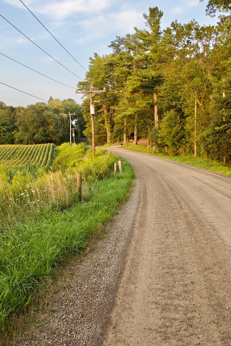 Photo une route au milieu des plantes et des arbres contre le ciel