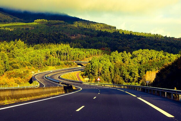 Photo une route au milieu des plantes et des arbres contre le ciel