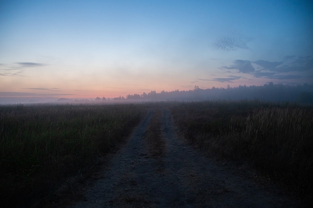 Route au sol dans le brouillard au lever du soleil d'été