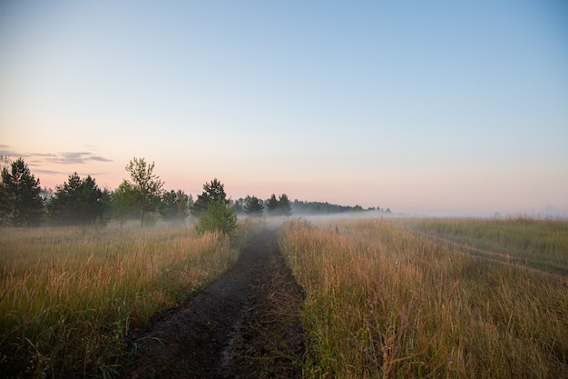 Route au sol dans le brouillard au lever du soleil d'été