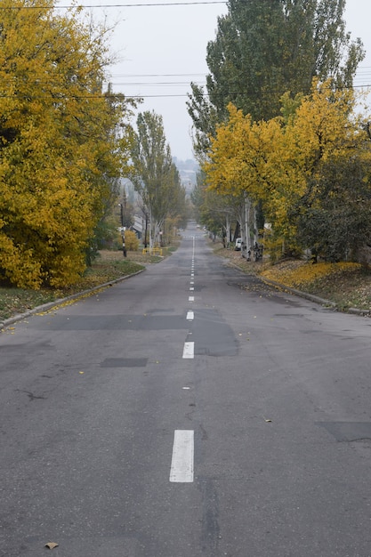 Route d&#39;automne. Arbres à feuilles jaunes et d&#39;herbe.