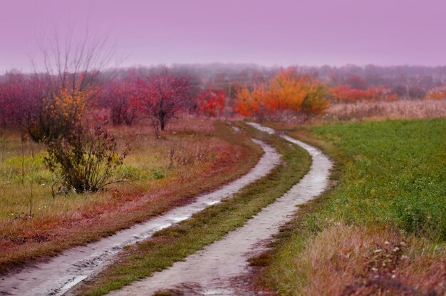 Route d'automne colorée dans la forêt Route à travers le parc à l'automne