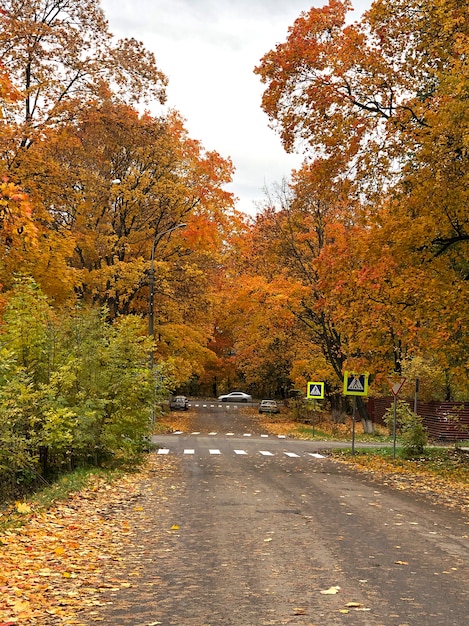 Route d'automne colorée dans la ville