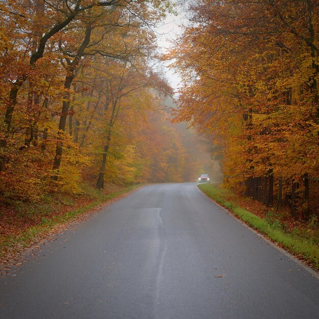 Route en automne Conduite automobile brumeuse et dangereuse en hiver Mauvais temps avec pluie et circulation sur la route Concept pour la circulation et la sécurité routière