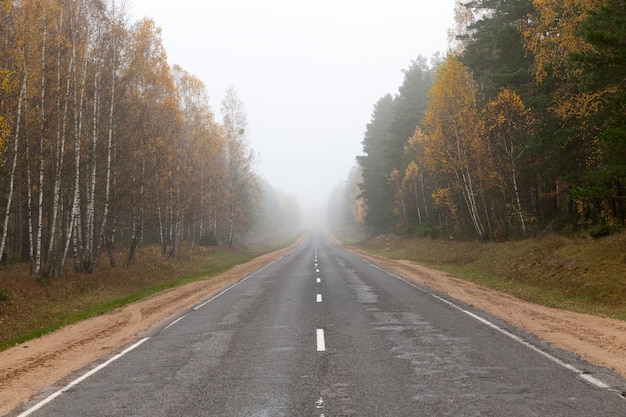 Route d'automne