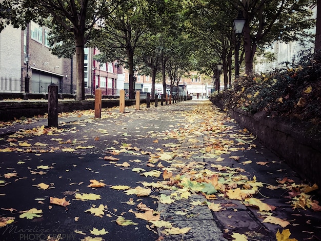 Route d&#39;automne