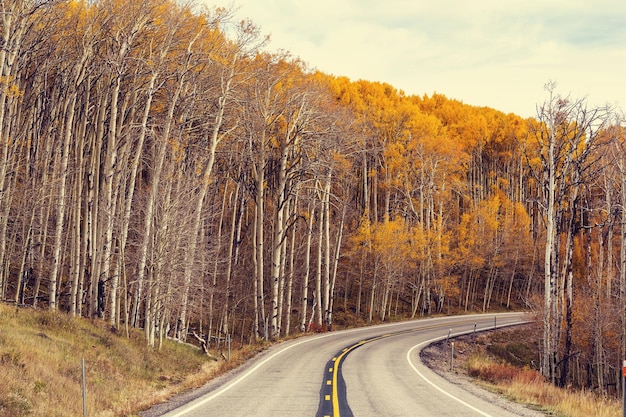 route d&#39;automne