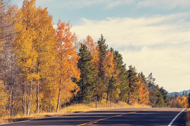 route d&#39;automne