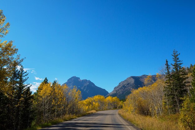 route d&#39;automne