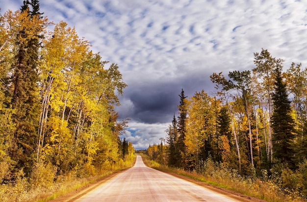 La route de l'automne