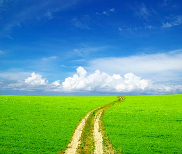 Route sur un beau champ ensoleillé sous le ciel bleu