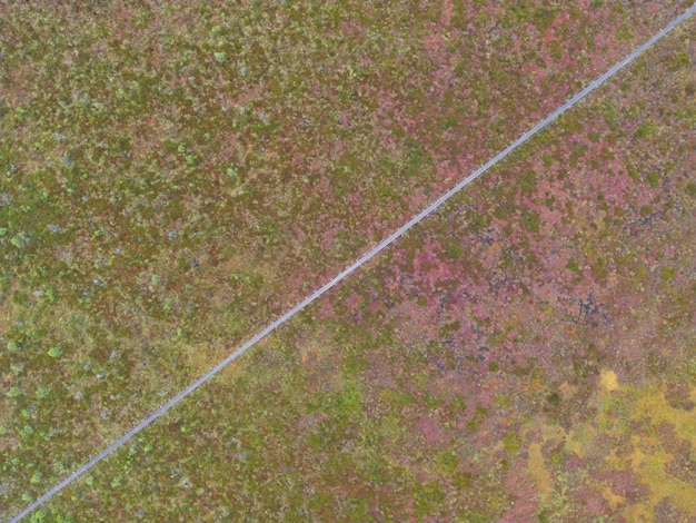 Route en bois dans le marais de Marimetsa vue aérienne en été Photo de haute qualité