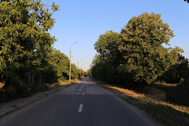 Une route bordée d'arbres