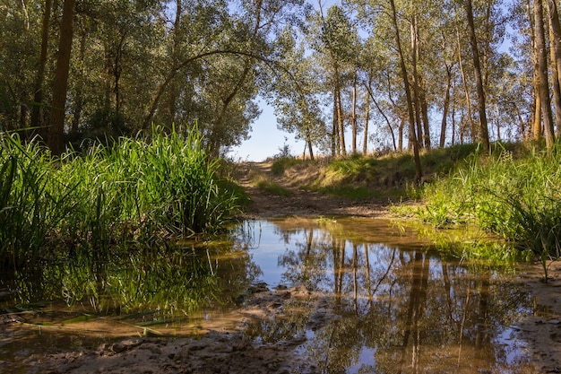 Route de boue traversée par la rivière. Boue. Marais.