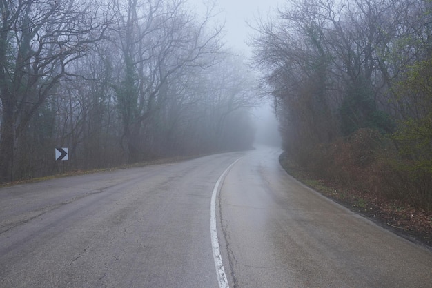 Une route brumeuse solitaire coupant à travers un bois épais et calme