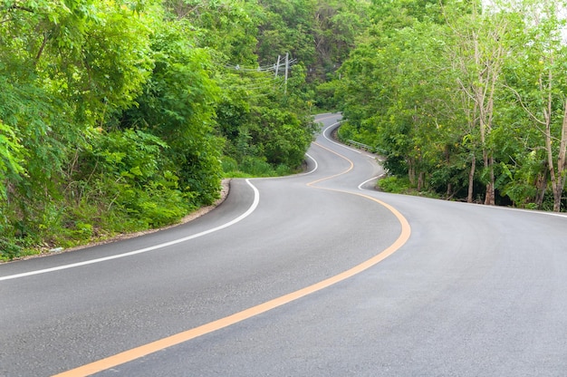 Route de campagne avec des arbres des deux côtésCourbe de la route