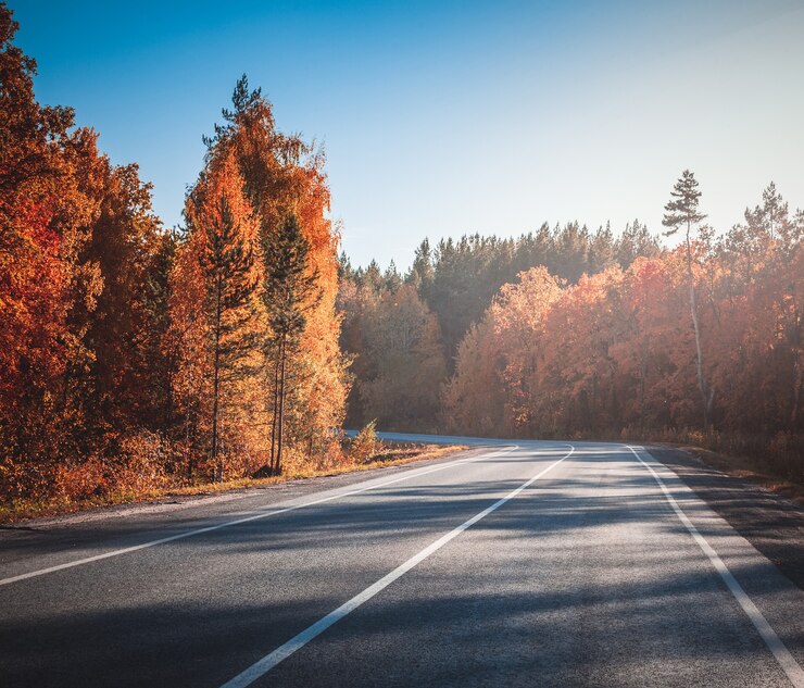 Photo route de campagne. automne.