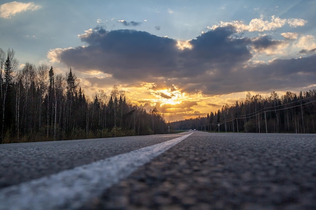 Route de campagne balisée au milieu de la forêt Chemin et marche en avant au coucher du soleil