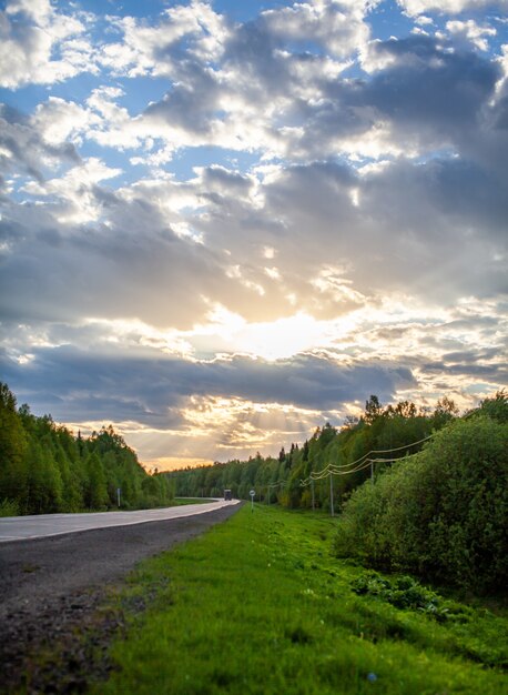 Route de campagne balisée au milieu de la forêt. Chemin et mouvement vers l'avant au soleil. Belle forêt verte au printemps au coucher du soleil. Concept de réussite dans le futur objectif et le temps qui passe