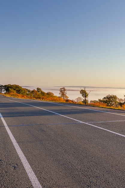 Route, campagne, beau, nature, automne, vallée, brouillard