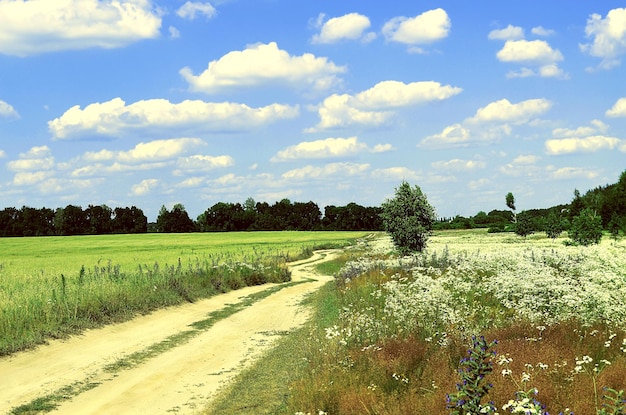 Photo route à la campagne avec un ciel bleu à l'horizon