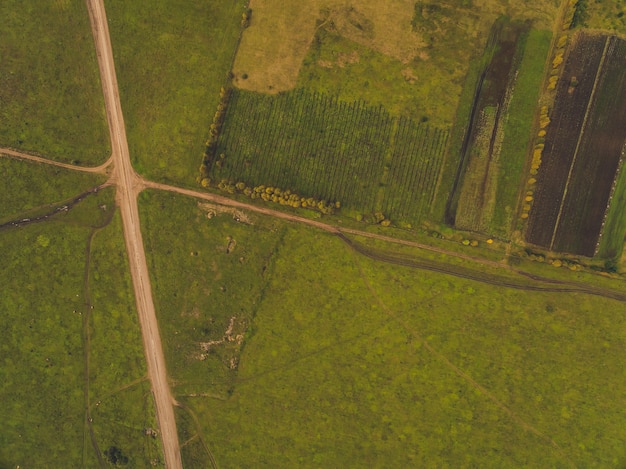 Route de campagne dans les champs de blé