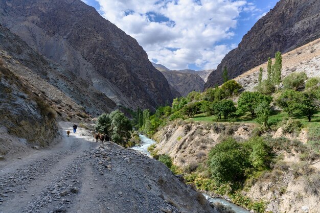 Route de campagne dans les montagnes du Tadjikistan