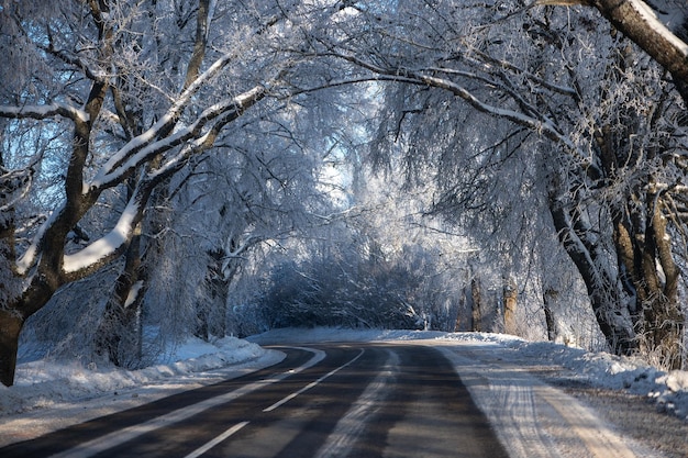 Route de campagne dans un paysage d'hiver avec des arbres givrés