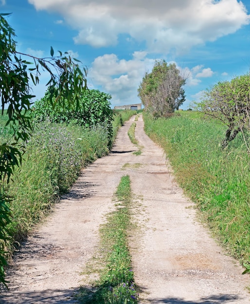 Route de campagne un jour nuageux en Sardaigne