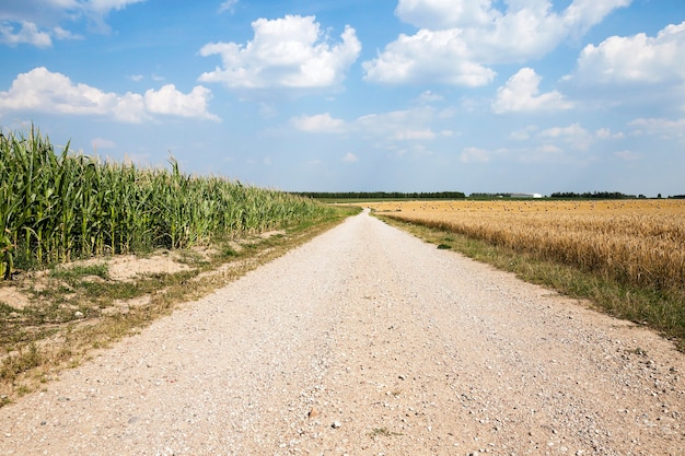 Photo route de campagne pavée, passant par un champ agricole