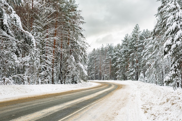 Route de campagne sinueuse enneigée en forêt