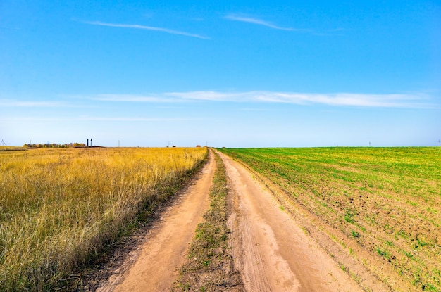 Route de campagne à travers champ et forêt au jour d'été ensoleillé