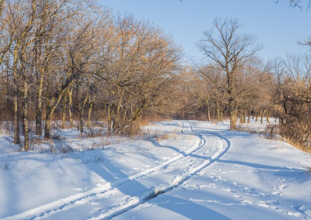 Route de campagne à travers la forêt d'hiver