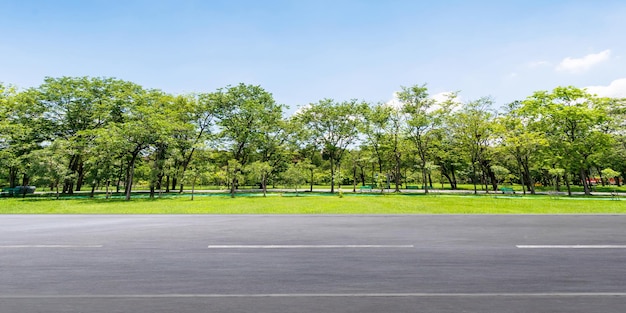 Route de campagne vide et beau parc paysager verdoyant