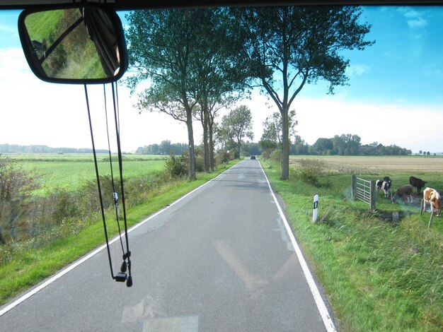 Une route de campagne vide le long des arbres