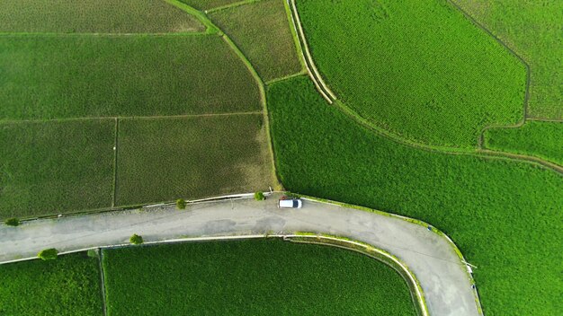 Une route avec un champ vert en arrière-plan