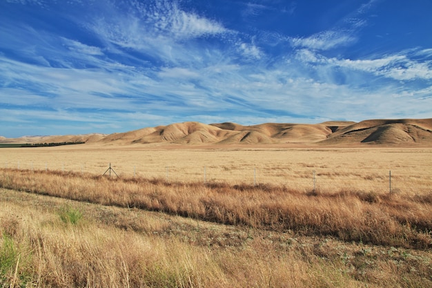 Route, sur, champs, californie, usa