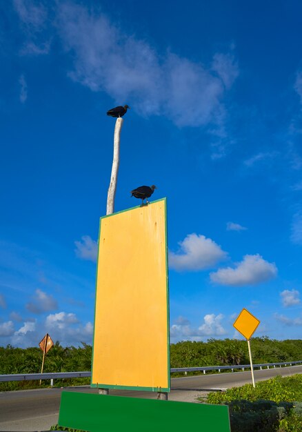 Route Chen Rio île de Cozumel au Mexique