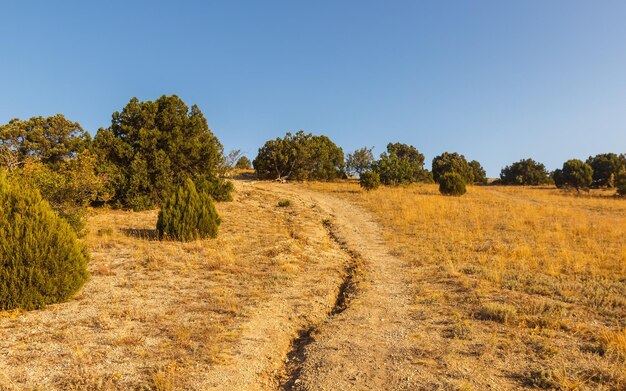 Une route sur une colline sur la côte près de sudak