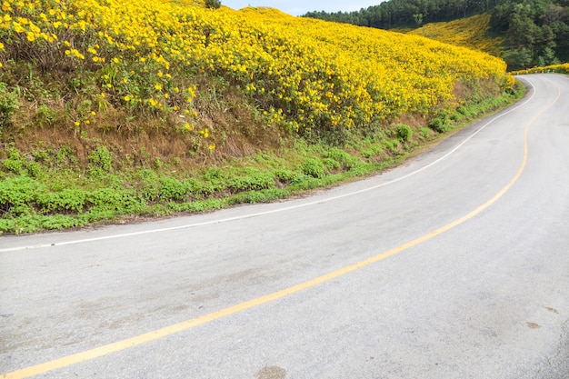 Route de courbe sur une montagne