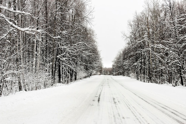 Une route couverte de neige en hiver traverse les bois