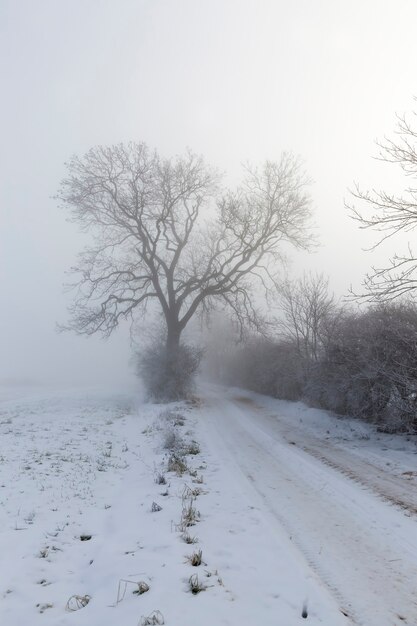 Une route couverte de neige en hiver