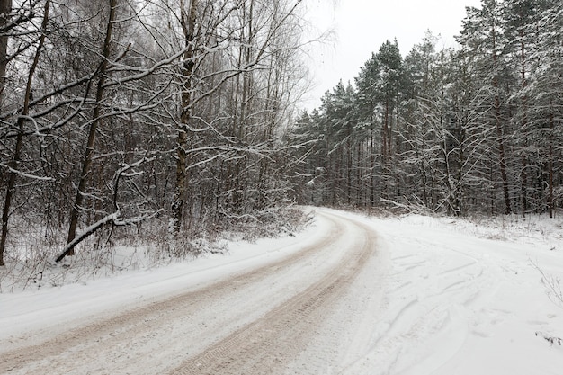 route couverte de neige en hiver