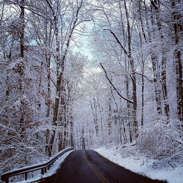 Photo route couverte de neige le long des arbres