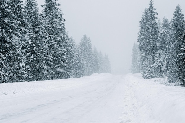 Photo une route couverte de neige traverse la forêt hivernale des pins.