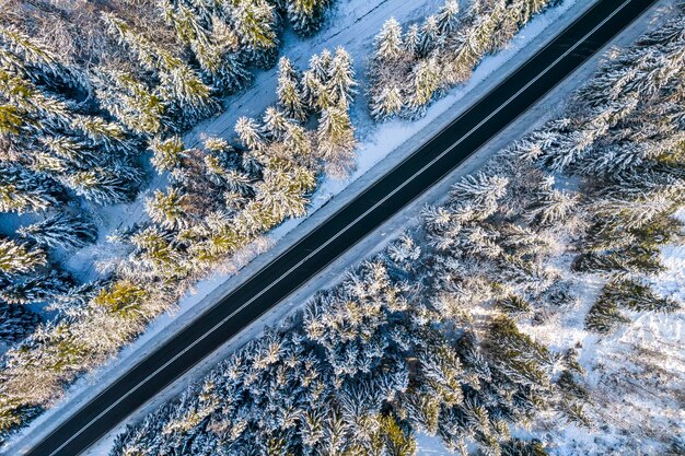 route, creux, hiver, neigeux, forêt