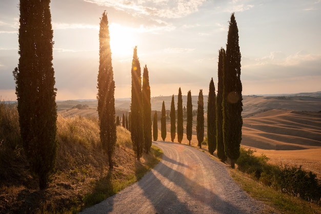 Route avec des cyprès au coucher du soleil en Toscane Italie