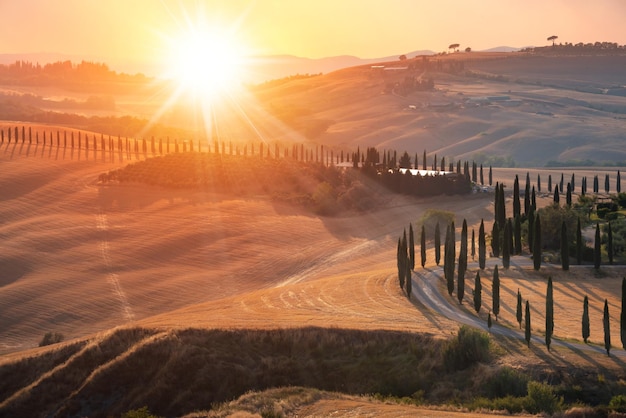 Route avec des cyprès au coucher du soleil en Toscane Italie